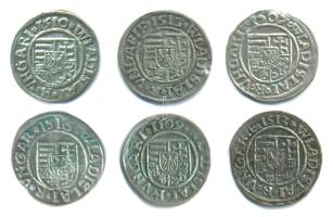 1507-1516. Denár Ag "II. Ulászló" (6x) klf évszámokkal! T:Vegyes Hungary 1507-1516 Denar Ag "Vladislaus II" (6x) different dates! C:Mixed Huszár: 811., Unger I.: 646.