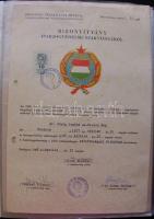 Nagy vegyes nyomtatvány tétel lefűzve dossziéban: reklámok, meghívók, buszjegyek, bizonyítvány, névj...