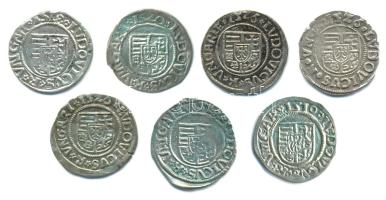 1518-1526. Denár Ag "II. Lajos" (7x) T:Vegyes Hungary 1518-1526 Denar Ag "Louis II" (7x) C:Mixed Huszár: 841., Unger I.: 673.