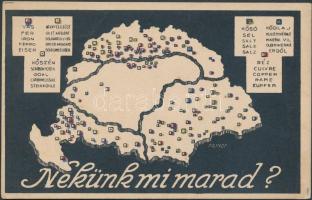 Carpathian basin, irredenta propaganda s: Frindt József