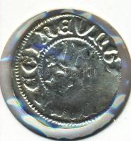 1382-1387(1395) (1383.) Denár Ag "Mária" (0,58g) T:2-
Huszár 566.,Unger I.: 442.f