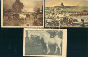 6 db régi motívumlap, különböző állatokkal, egy kivételével mint postatiszta