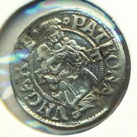 1507. Denár Ag "II. Ulászló" (0,54g) T:2
Huszár 811.,Unger I.: 646.b