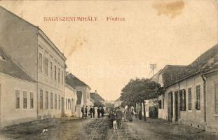 Nagyszentmihály főutca T3