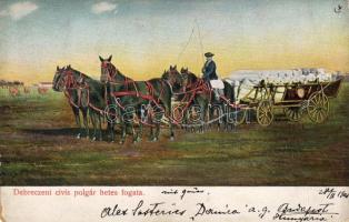 1905 Debreczeni civis polgár hetesfogata hosszúcímzéses T3