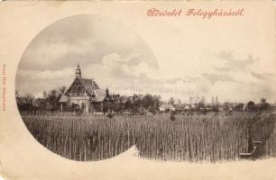 Félegyháza hosszúcímzéses T2/3