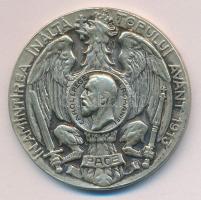Románia 1913. "II. Balkán-Háború" fém emlékérem T:2- Romania 1913. Second Balkan War meatl Victory Medal C:VF