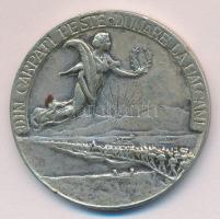 Románia 1913. "II. Balkán-Háború" fém emlékérem T:2-
Romania 1913. Second Balkan War meatl...