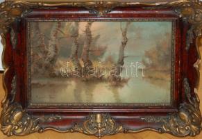 Csabai Pántl László (1904-1982): Tópart, olaj-karton, jelzett, díszes keretben 37x47cm