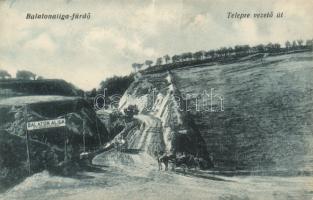 Balatonaliga fürdőtelepre vezető út (fa)