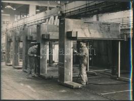 cca 1890-1950 közel 60 db klf érdekes fotó