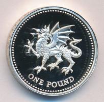 Nagy Britannia 1995. 1Ł Ag eredeti dísztokban tanúsítvánnyal T:PP Great Britain 1995. 1 Pound Ag in original case with certificate C:PP