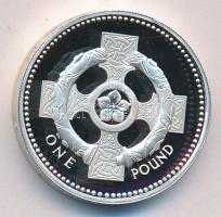 Nagy Britannia 1996. 1Ł Ag eredeti dísztokban tanúsítvánnyal T:PP Great Britain 1996. 1 Pound Ag in original case with certificate C:PP