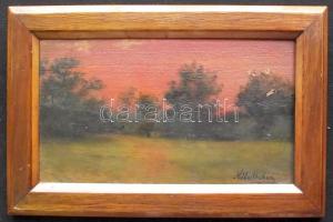 Hilberth Irén (1872-1925): Tájkép, olaj-farost, jelzett, keretben 23x15cm