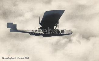 Flying boat Dornier Wal