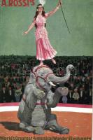 A. Rossi´s circus, musical wonder elephant