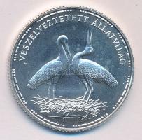 1992. 200Ft Ag "Veszélyeztetett állatvilág-gólya" T:BU