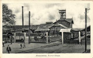 Aknaszlatina Ferenc-bánya, mine