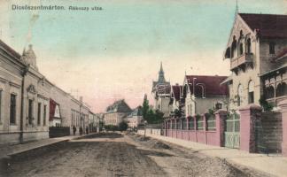 Dicsőszentmárton Rákóczi street (wet damage)