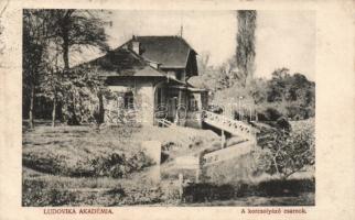 Budapest VIII. Ludovika Akadémia, korcsolyázó tó (EK)