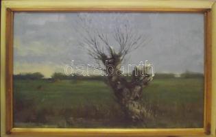 Gádor Emil (1911-1998): Öreg fűz, olaj-farost, üvegezett keretben 90x70cm