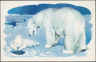 41 db színes magyar és külföldi állatos képeslap CM készítéséhez