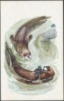 41 db színes magyar és külföldi állatos képeslap CM készítéséhez