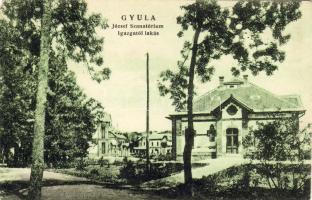 Gyula (Rb)
