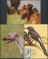 108 db modern képeslap egy albumban és egy papír berakóban - rajzolt üdvözlőlapok, és ÁLLAT motívuml...