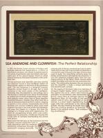 Antigua és Barbuda 1984-85. 30$ 4 klf bankjegy 23 Karátos aranyfóliából 2,33grx4=9,32 (legális pénz ...