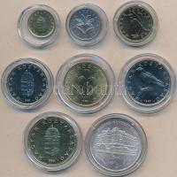 1993. 1Ft-200Ft 8db klf, forgalmi sor kapszulában (közte 200ft Ag "MNB" T:1