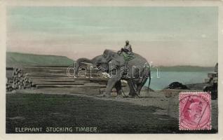 Indian folklore, elephant carrying timber (rb)
