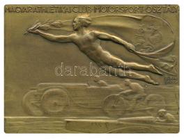 Berán Lajos (1882-1943) 1930. "Magyar Athlétikai Club Motorsport Osztály / II. Országos Hősök Versenye" bronz emlékplakett eredeti dísztokban (55x70mm) T:2 1930. "Hungarian Athletic Club-Motorsport / 2nd National Heroes' Race" bronze plaque Sign: Berán Lajos (55x70mm) in original case C:XF