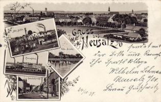 1898 Neusalz Braun Litho