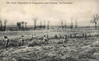 Fribourg Grangeneuve, School of Agriculture, the Reapers (EK)