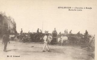 Singapore oxen and carts