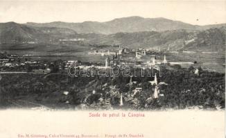 Campina oil works