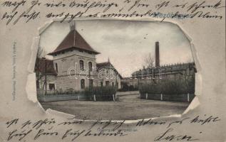 Mezőhegyes cukorgyári igazgatói lak