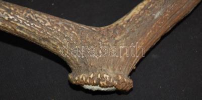 Fél szarvasagancs 66cm