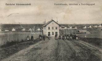 Vértesacsa vasútállomás