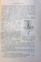 1900 Természettudományi közlöny. Komplett éves kiadás pótfüzetekkel. Rengeteg rajzzal Egy fedlap hiá...