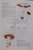 Dr Krébecz Jenő: Gombaatlasz, 200 közép-európai nagygomba, Pallas Kiadó, Bp. 1988, kiadói keményköté...