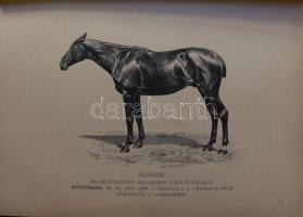 Carl Gustav Wrangel Graf: Ungarns Pferdezucht in Wort und Bild. 1-4. kötet 2 kötetbe kötve. I. Die K...