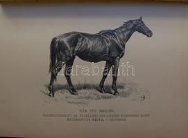 Carl Gustav Wrangel Graf: Ungarns Pferdezucht in Wort und Bild. 1-4. kötet 2 kötetbe kötve. I. Die K...