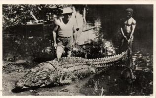 Capture of a man-eating caiman (fa)