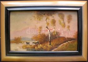 K. Spányi B. jelzéssel: Lápi táj, olaj-farost, jelzett, keretben 31x44cm