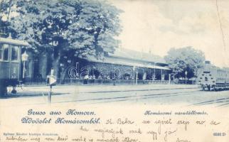 Komárom railway station (fa)