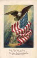 American flag, eagle (fa)