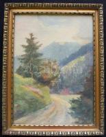 S. J. Szomolnok 1908 jelzéssel: Hekerova, akvarell-papír, üvegezett keretben 22x28,5cm