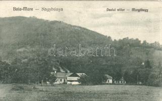 Nagybánya, Baia Mare; Dealul viilor / Morgóhegy, Krizsanovszky könyvkereskedés kiadása / mountain (fl)